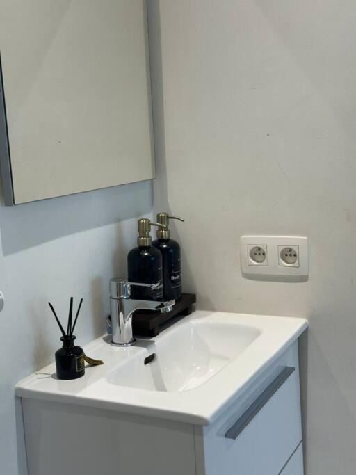 Grote Kamer In Centrum Appartement *