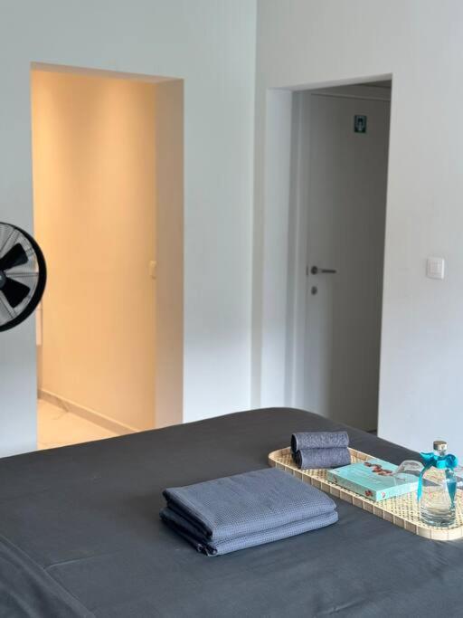 Grote Kamer In Centrum Appartement